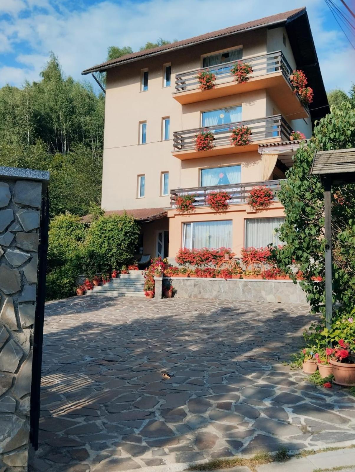 Pensiunea Transilvania Lodge Bran  Extérieur photo