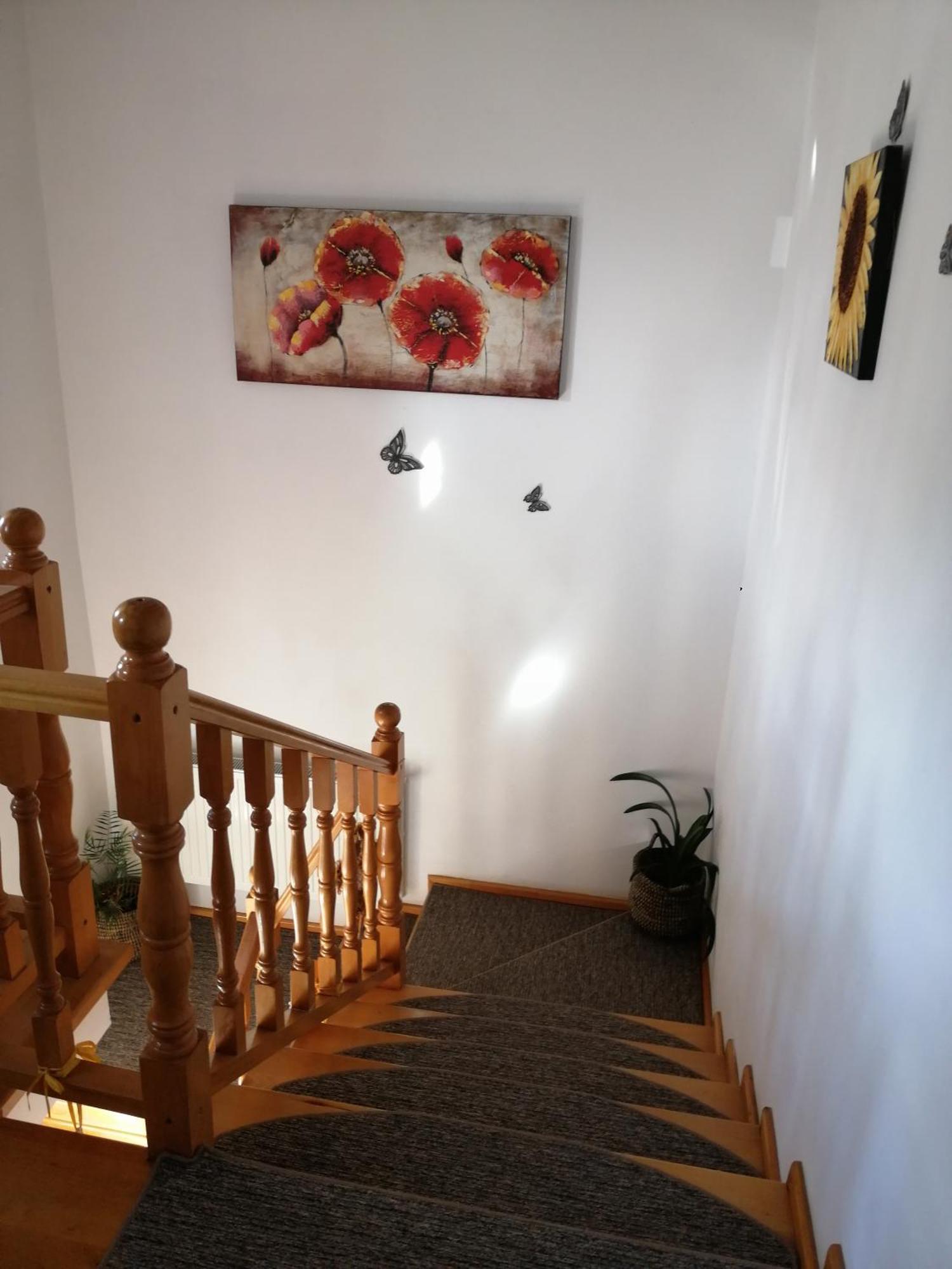 Pensiunea Transilvania Lodge Bran  Extérieur photo
