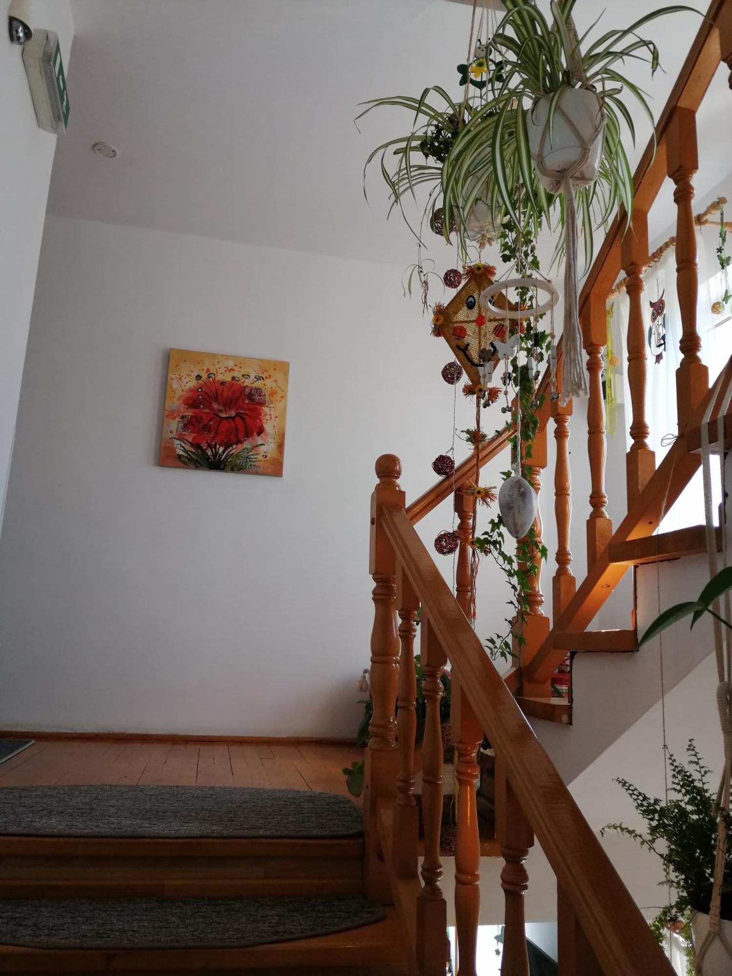 Pensiunea Transilvania Lodge Bran  Extérieur photo
