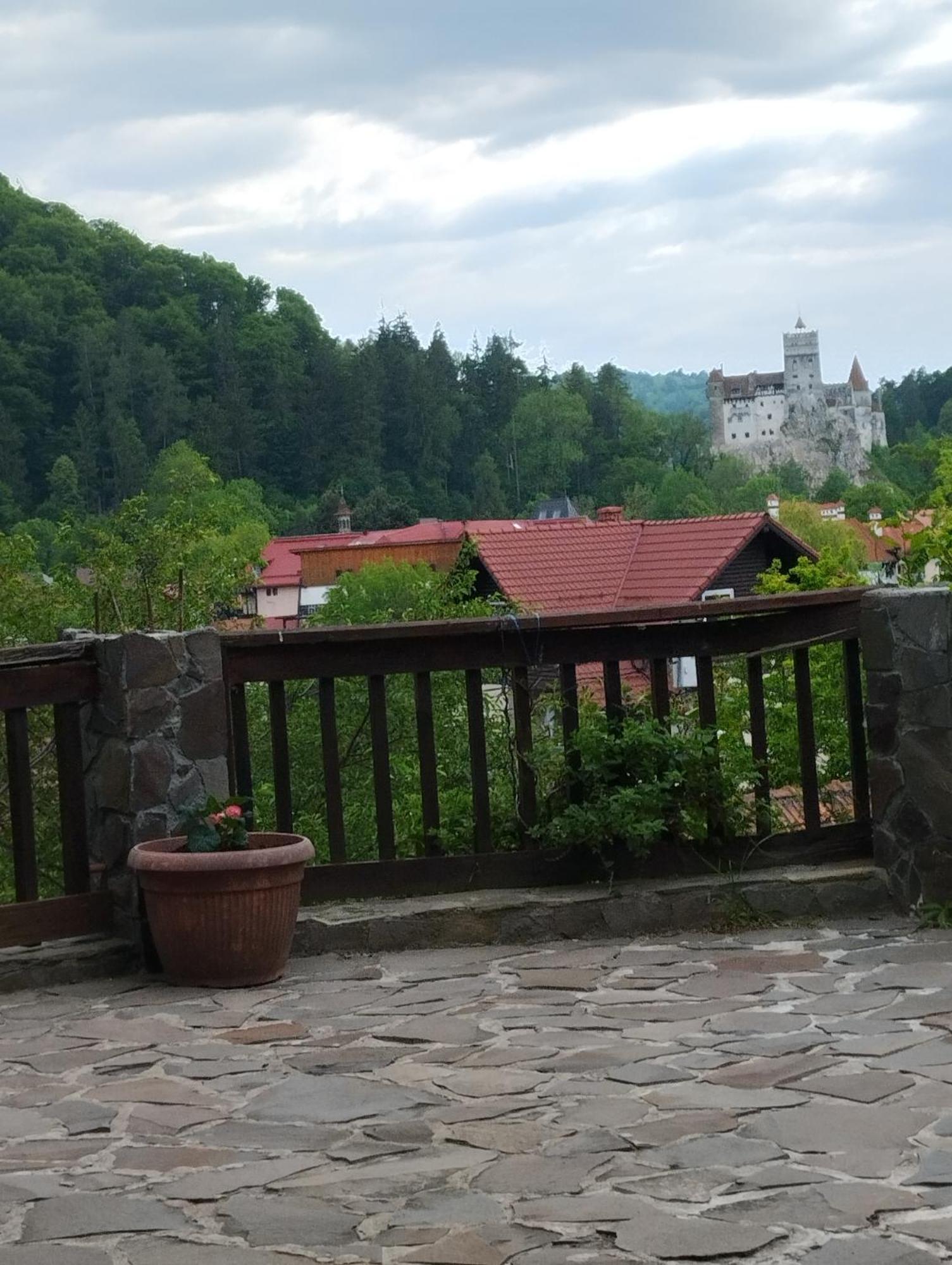 Pensiunea Transilvania Lodge Bran  Extérieur photo